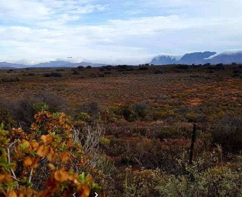 Commercial Property for Sale in De Hoop Western Cape